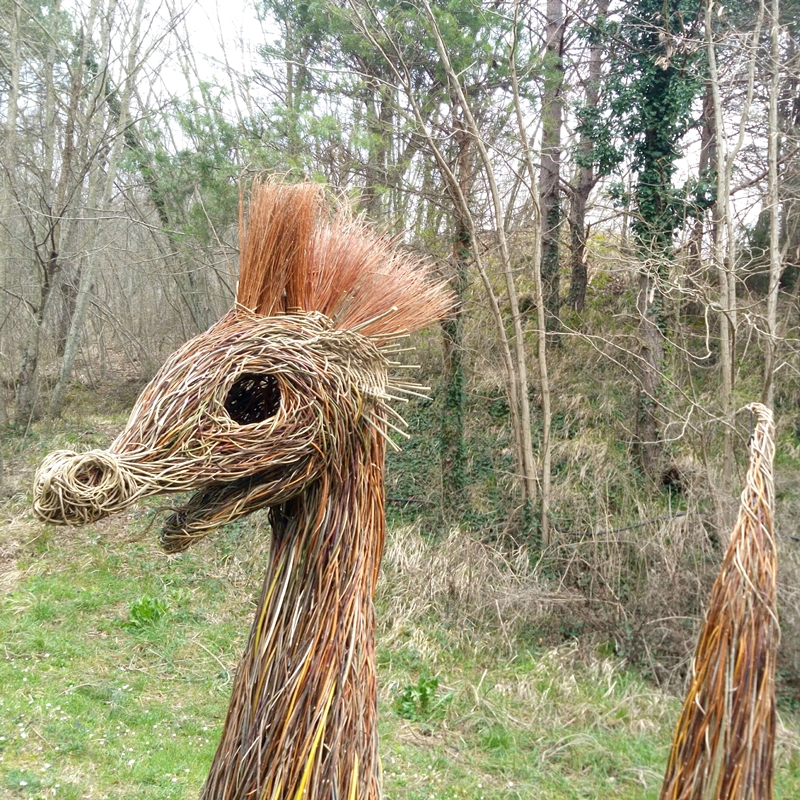 trame del bosco