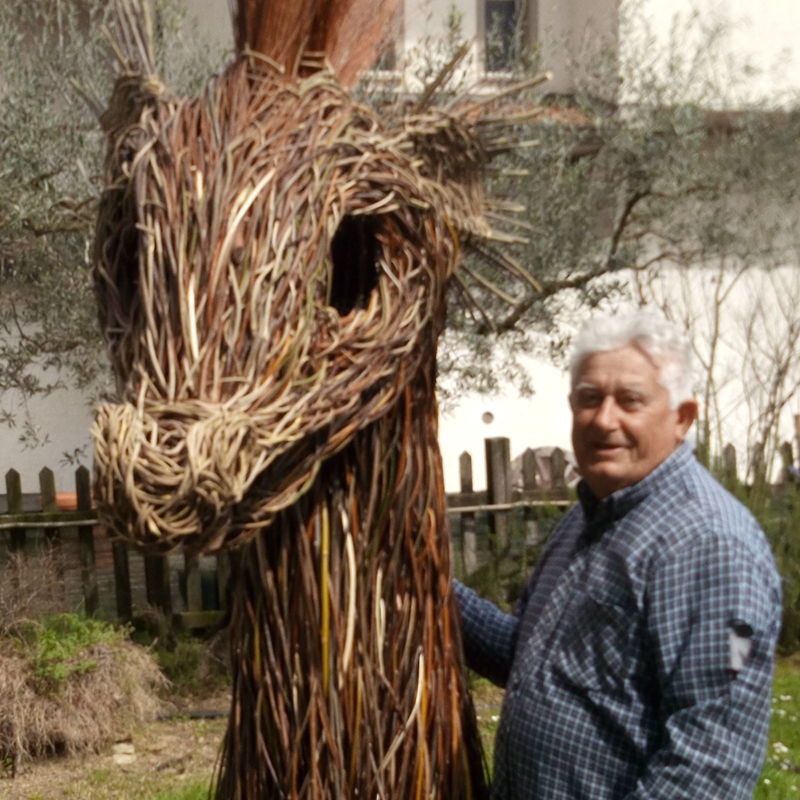 trame del bosco