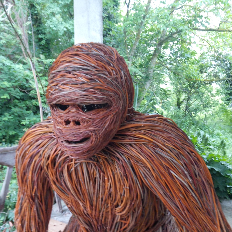 gorilla