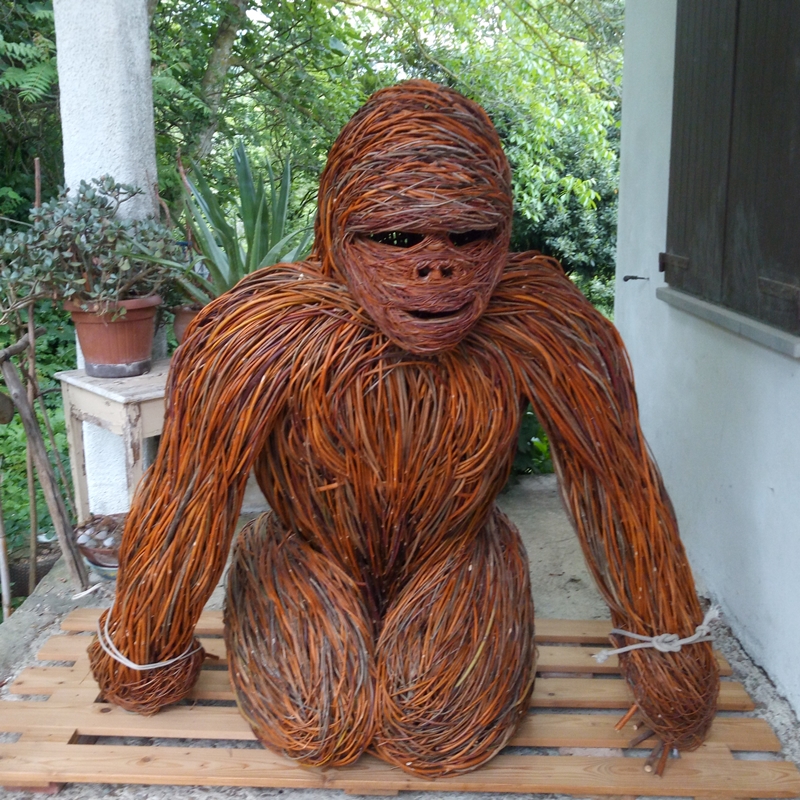 gorilla